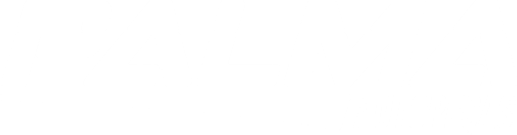 PALMA AUTO PEÇA_BRANCO